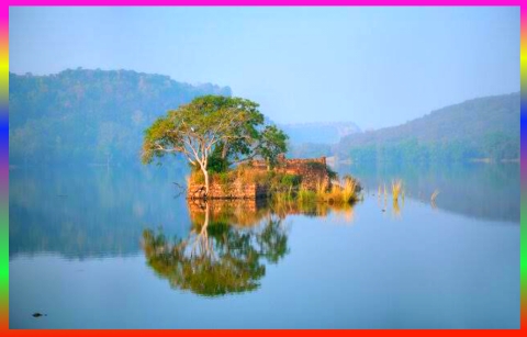 Padam Talao Ranthambore